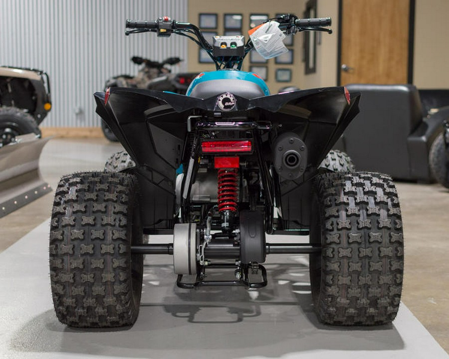 2024 Can-Am® Renegade 110 EFI