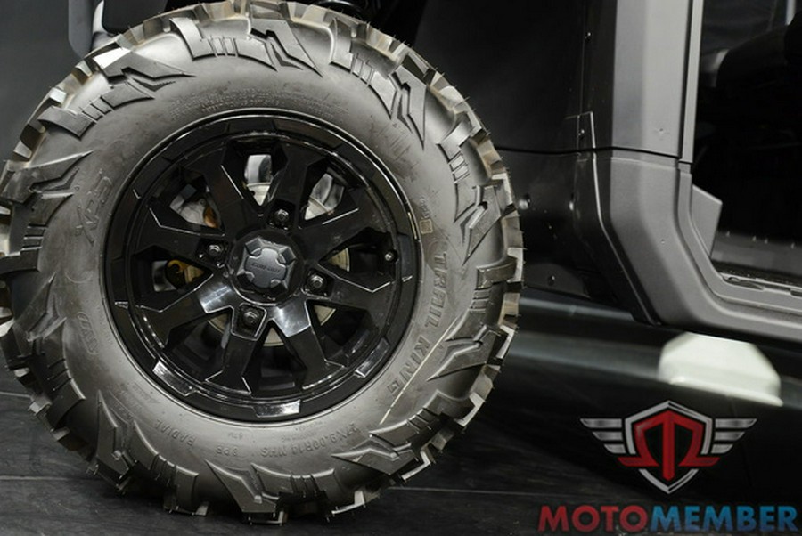 2025 Can-Am Defender DPS HD10