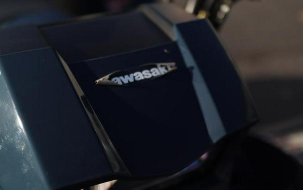 2025 Kawasaki Brute Force® 450 4x4