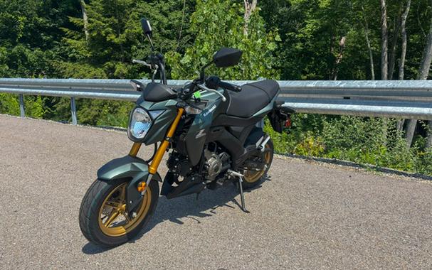 2025 Kawasaki Z125 PRO