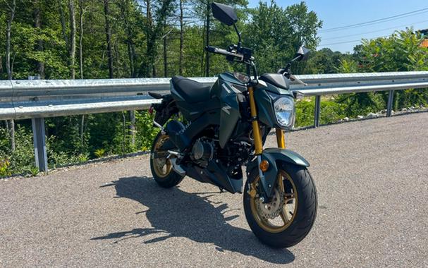 2025 Kawasaki Z125 PRO
