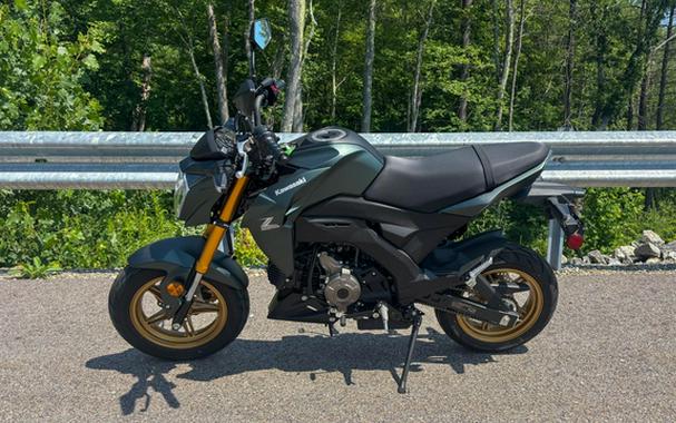 2025 Kawasaki Z125 PRO