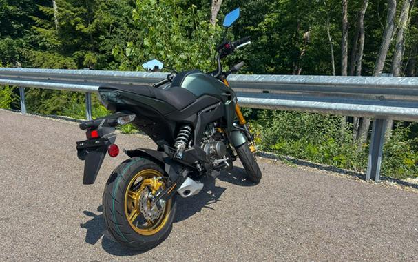 2025 Kawasaki Z125 PRO
