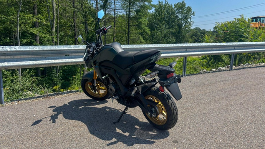 2025 Kawasaki Z125 PRO