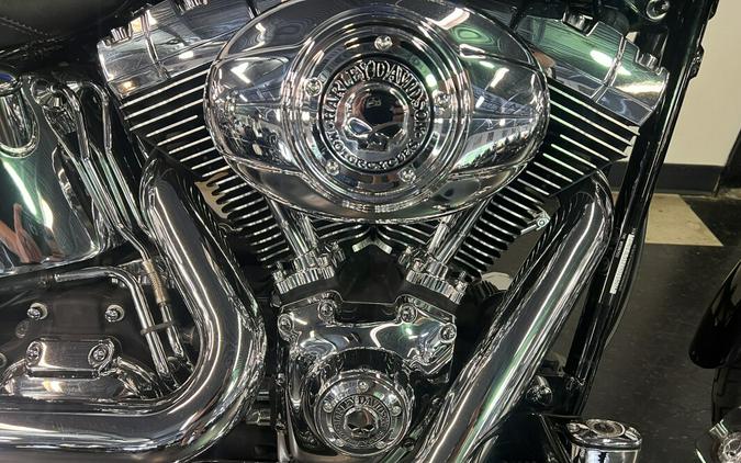 2007 Harley-Davidson Softail® Custom Custom Skulls and Flames FXSTC