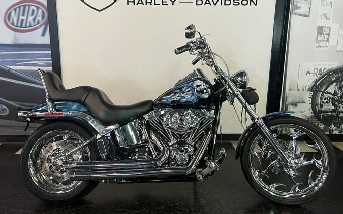 2007 Harley-Davidson Softail® Custom Custom Skulls and Flames FXSTC