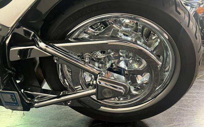 2007 Harley-Davidson Softail® Custom Custom Skulls and Flames FXSTC
