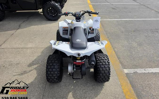 2026 Can-Am® Renegade 70 EFI