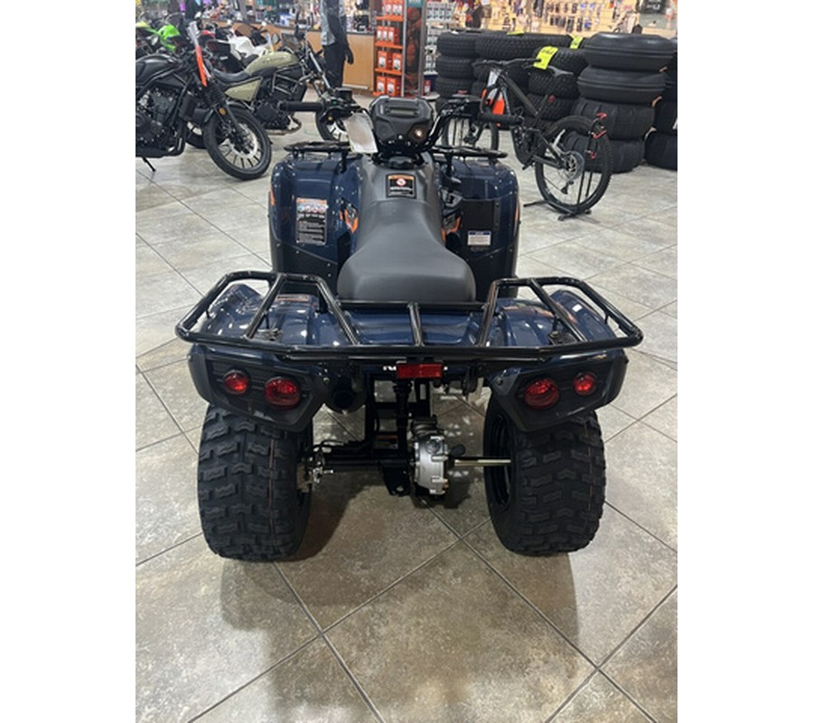 2026 Kawasaki Brute Force 300