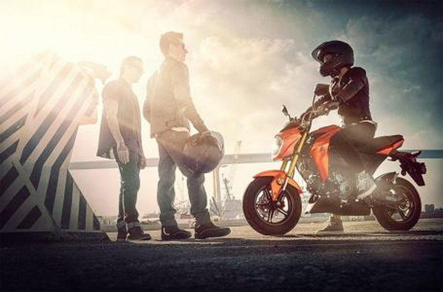 2025 Kawasaki Z125 PRO