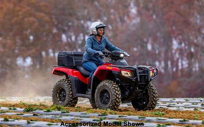 2025 Honda FourTrax Rubicon 700 4x4 Automatic