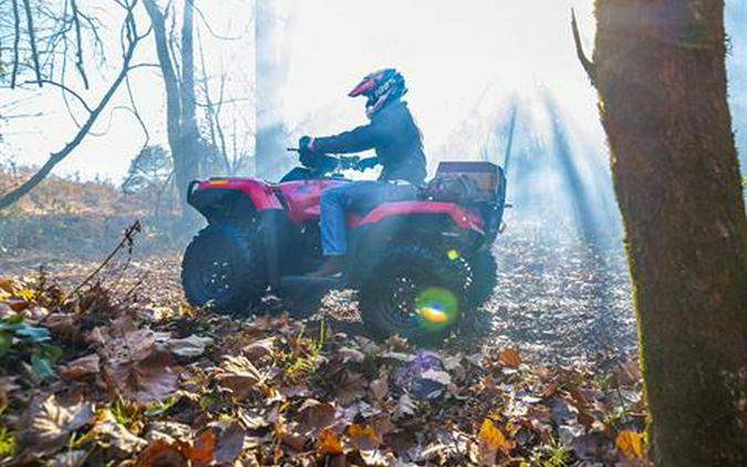 2025 Honda FourTrax Rubicon 700 4x4 Automatic