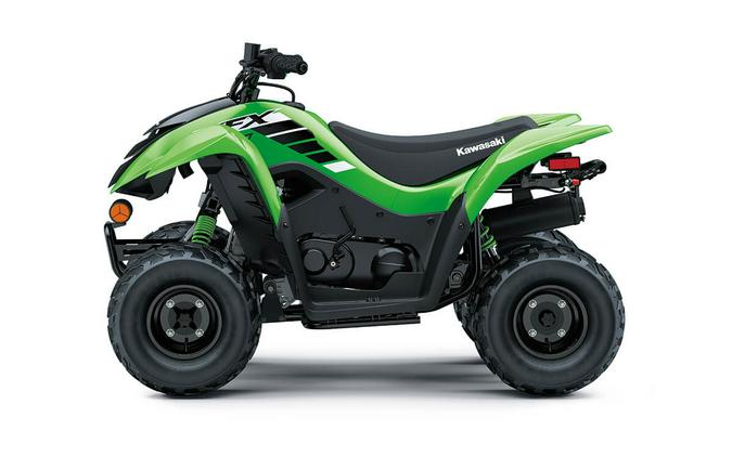 2025 Kawasaki KFX 50 - Green Sticker Registration!