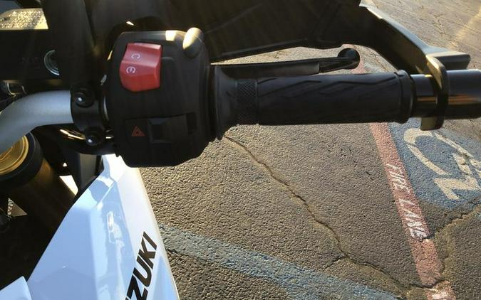 2026 Suzuki V STROM 800DE