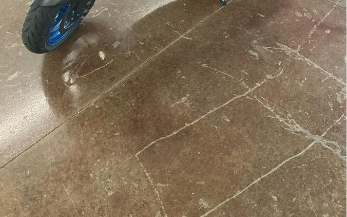 2022 Suzuki GSX-S1000