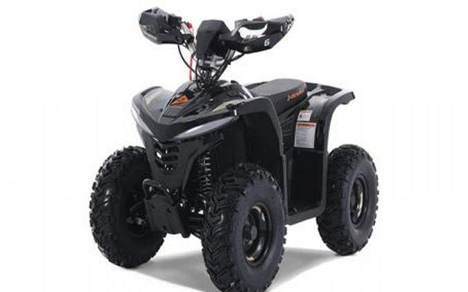 2026 Denago Powersports E-Hawk 6
