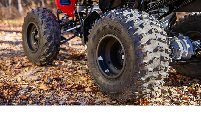 2026 Honda TRX250X