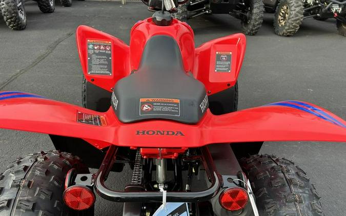 2024 Honda® TRX90X