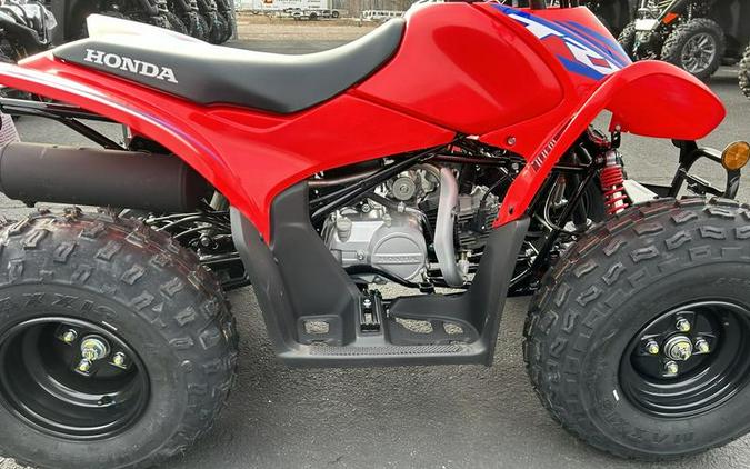 2024 Honda® TRX90X