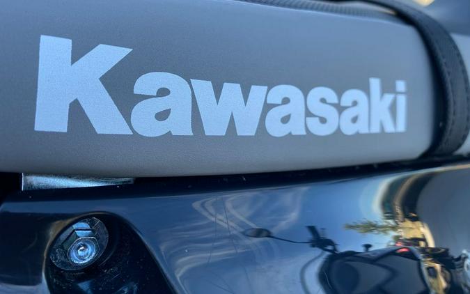 2026 Kawasaki KLX®300SM