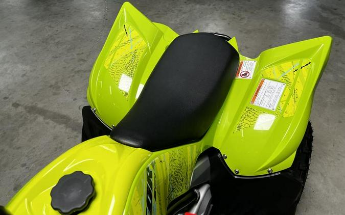 2026 Yamaha Raptor 110