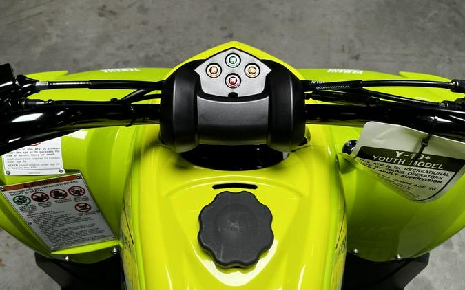 2026 Yamaha Raptor 110