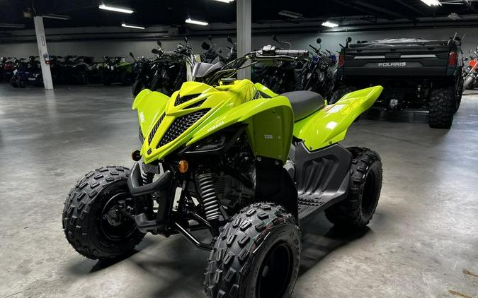 2026 Yamaha Raptor 110
