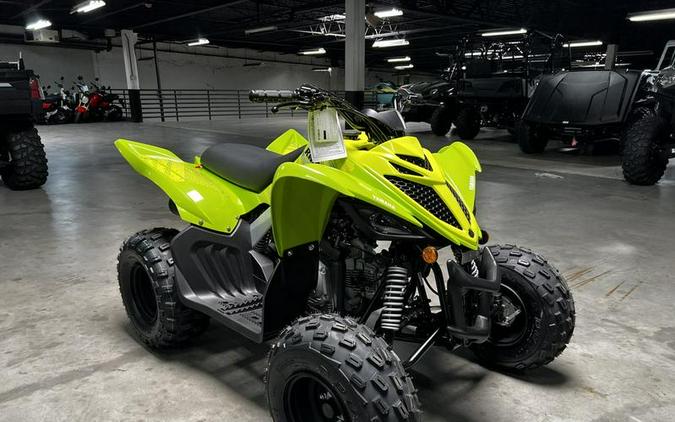 2026 Yamaha Raptor 110