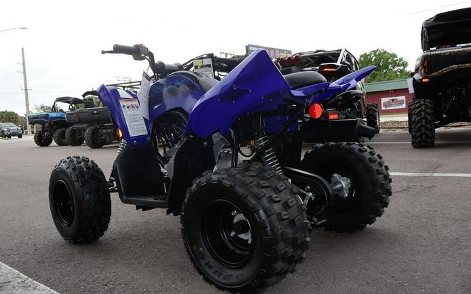 2024 Yamaha Raptor 110