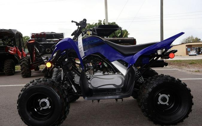 2024 Yamaha Raptor 110