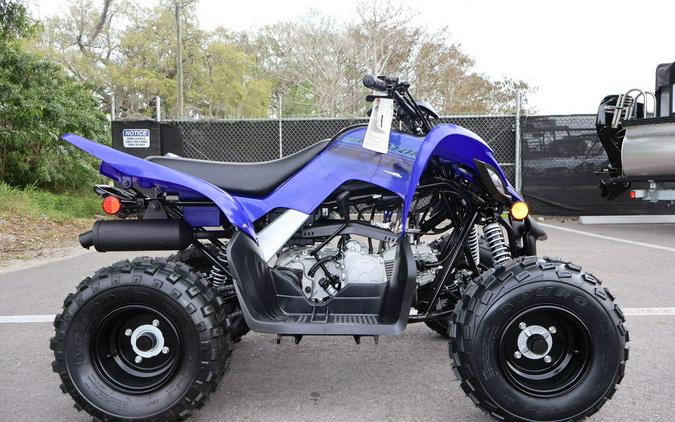 2024 Yamaha Raptor 110