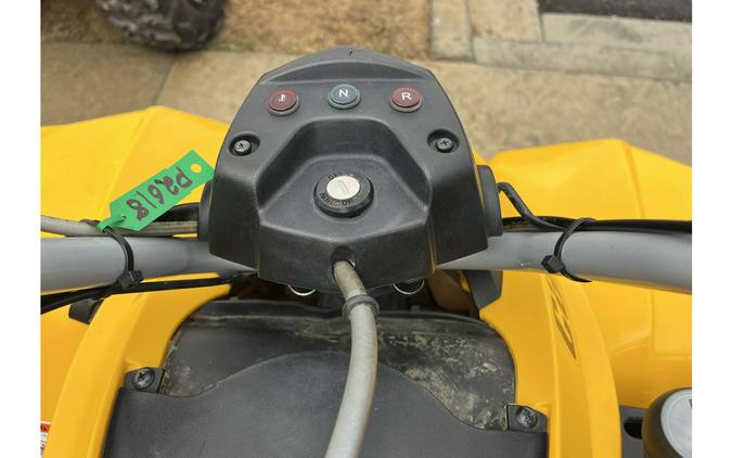 2019 Can-Am DS 250®