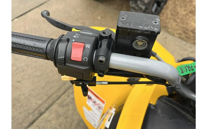 2019 Can-Am DS 250®