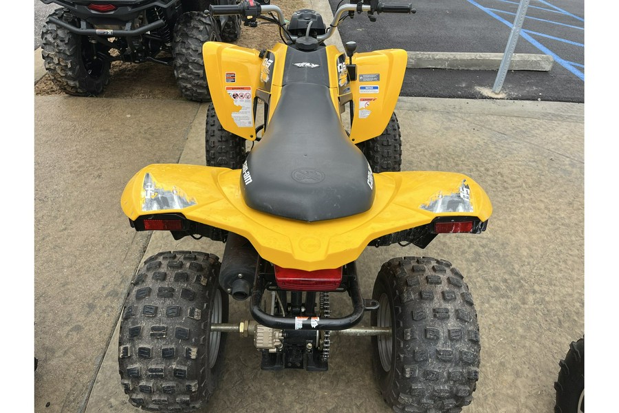 2019 DS 250® - Can-Am
