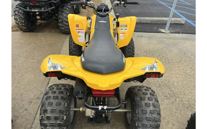 2019 Can-Am DS 250®