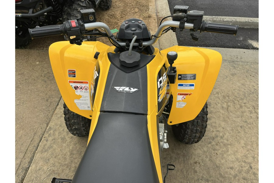 2019 DS 250® - Can-Am
