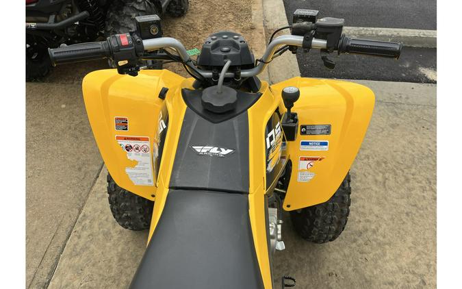 2019 Can-Am DS 250®