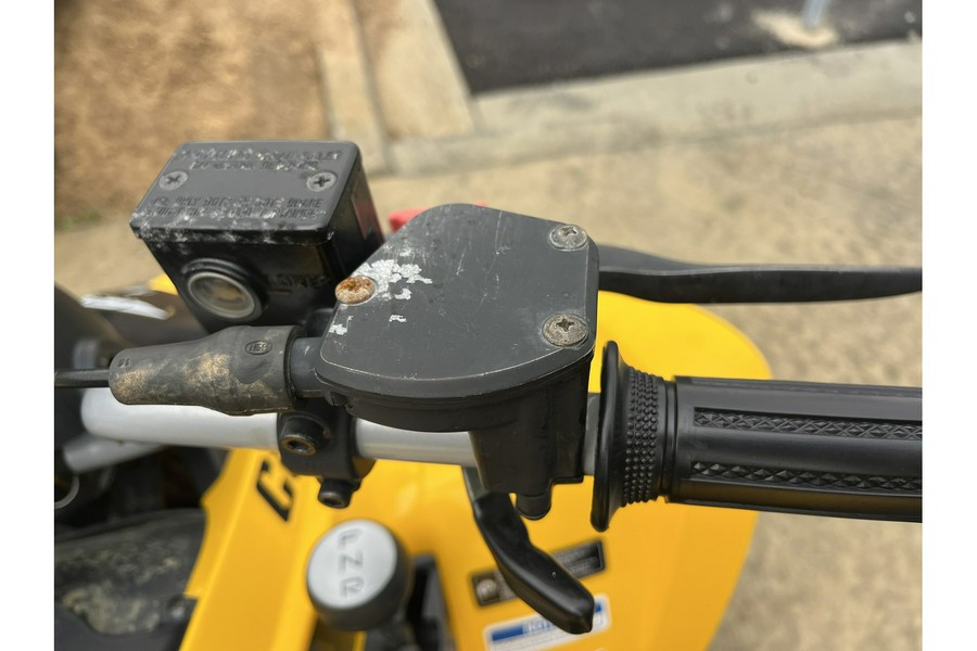 2019 DS 250® - Can-Am