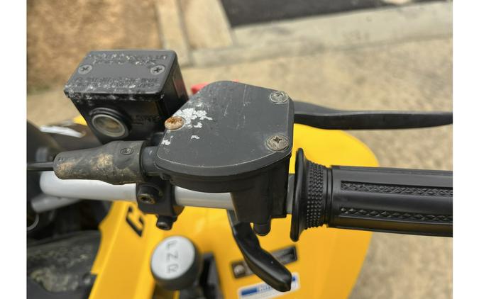 2019 Can-Am DS 250®