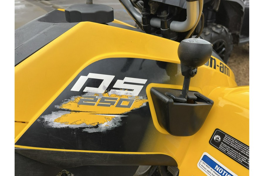 2019 DS 250® - Can-Am