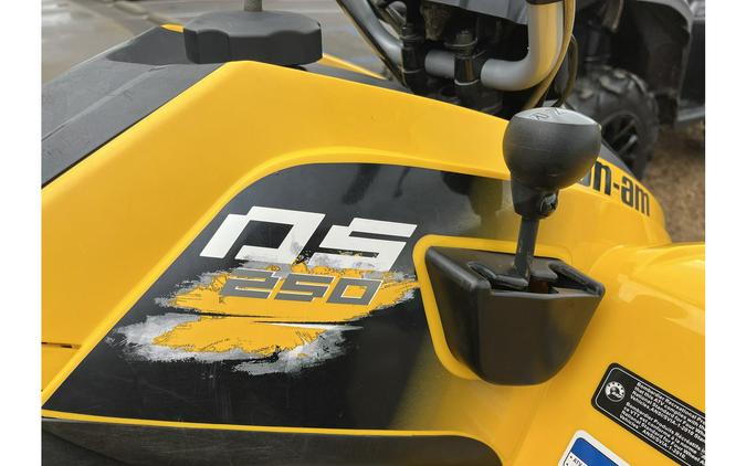2019 Can-Am DS 250®