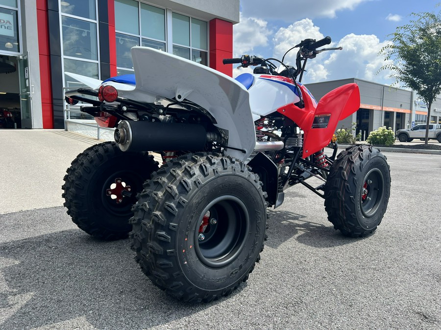 2026 Honda TRX250X