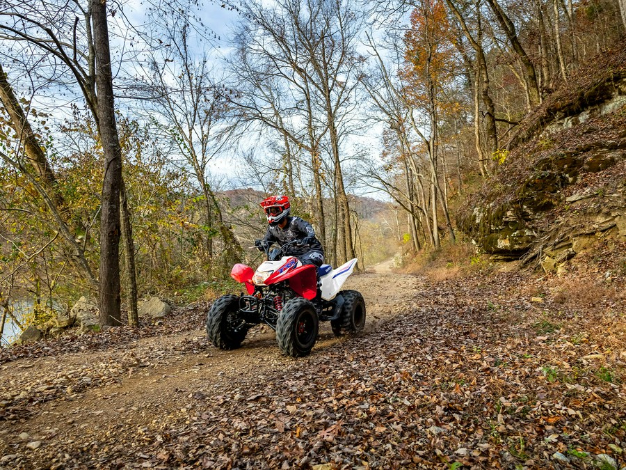 2026 Honda TRX250X