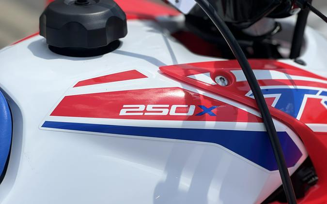 2026 Honda TRX250X