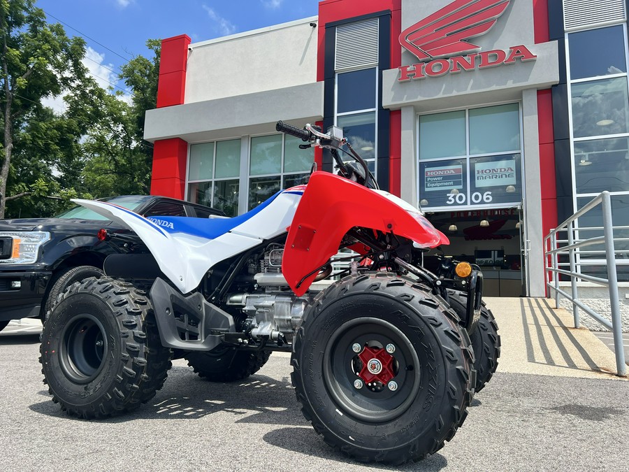 2026 Honda TRX250X