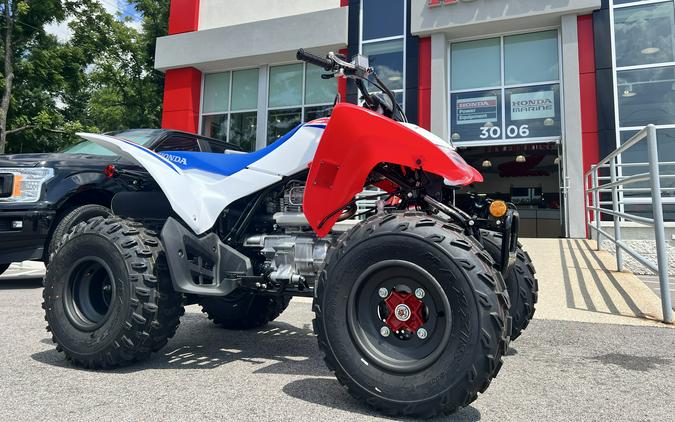 2026 Honda TRX250X