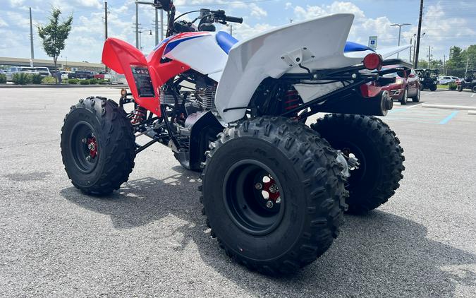 2026 Honda TRX250X