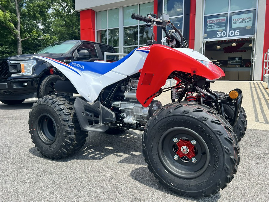 2026 Honda TRX250X