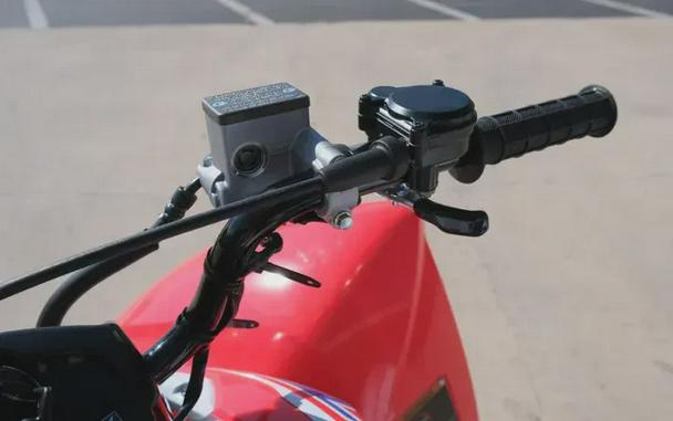 2026 HONDA TRX250X