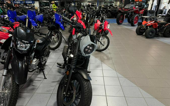 2024 Honda® Rebel 500 ABS SE